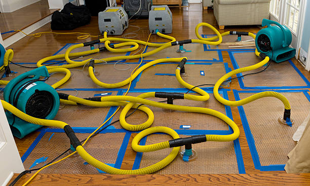 Professional Burst Pipe Water Damage technician working in Lowell, AR